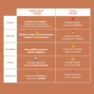 Pak x3 ENERGY BOOST - Voedingssupplement met ginseng, magnesium, vitamine B, C, D & mineralen - Complete formule - Made in France