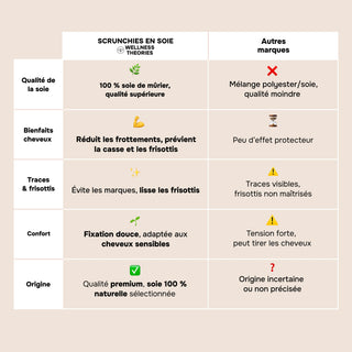 BOX DE 6 SCRUNCHIES EN SOIE 22MM DE MÛRIER – 100% Naturelle – Chouchous Doux pour les Cheveux – Anti-Casse, Anti-Frisottis, Préserve l’Hydratation – Élégance & Confort Quotidien