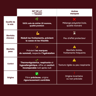 Set de Lit Complet Luxe Prune – Housse de Couette, Drap Plat & 2 Taies – Soie de Mûrier 100% Naturelle 22 Mommes – Confort Royal - Peau & Cheveux Sublimés