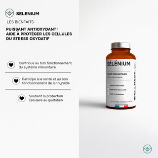Bouclier de Rentrée - Immunité Renforcée & Vitalité au Quotidien