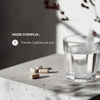 ENERGY BOOST – Complément alimentaire à base de Ginseng, Magnésium, Vitamines B, C, D & Minéraux – Vitalité, Concentration & Réduction de la Fatigue – Formule Complète – 60 Gélules – Made in France