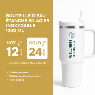 Pack Énergie & Performance – Spiruline, Magnésium & Oméga 3 | Wellness Theories